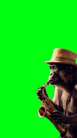 macaco saxofone
