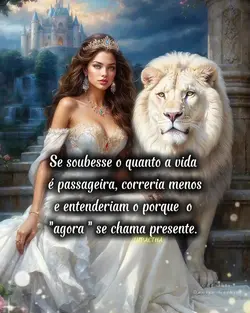 status do dia 