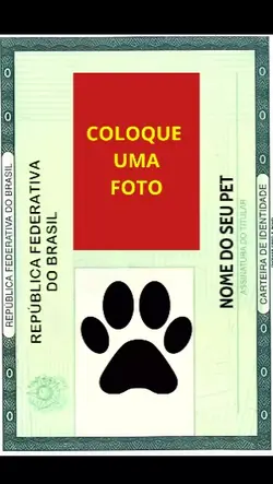 rg do seu pet