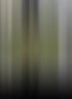 CapCut template 
