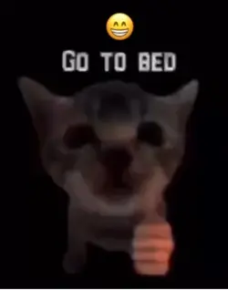 Go to bed