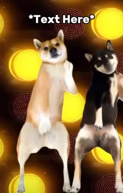 Dog dance meme 
