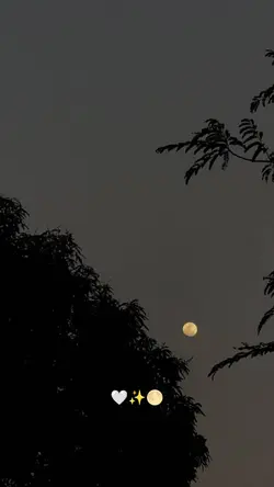 LUA