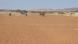 🔥Cheif🔥3BarrelFlags