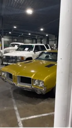 Amazing find