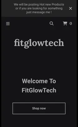 Website 