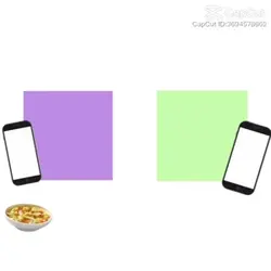 Soup