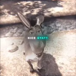 shrek gyattt