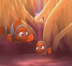 nemo