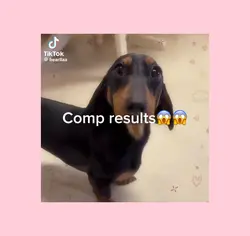 COMP RESULTS