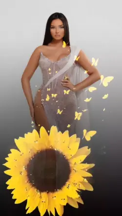 beautiful sunflower