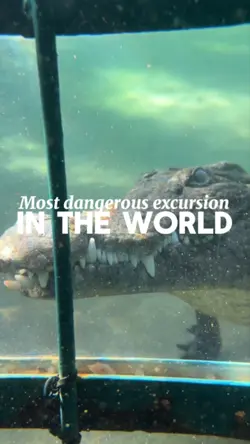 Dangerous Activity