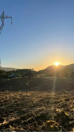Meu agro 🚜🥦