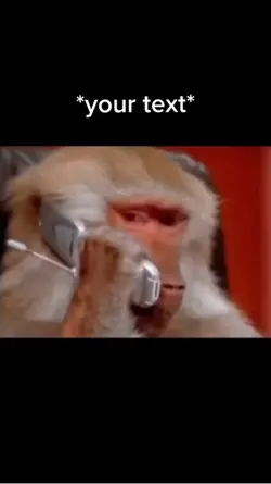 Monkey calling