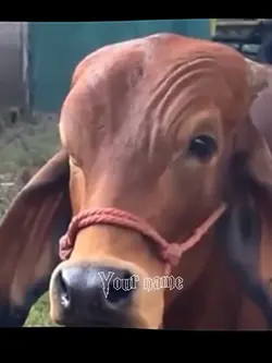 Goat Antony 🤣🤯