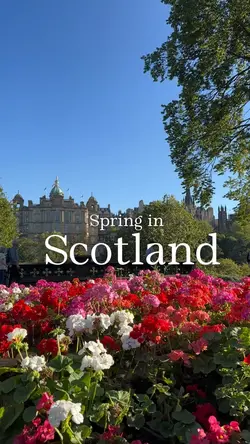 Spring In Scotland