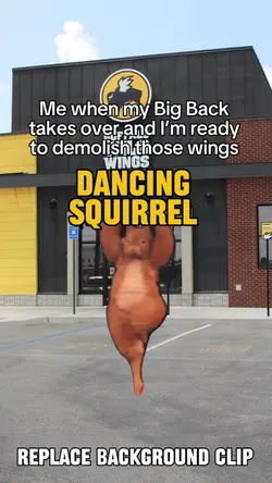 Dancing Squirrel