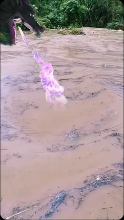 dragão viral