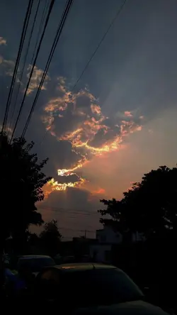 isso é sobre carinho