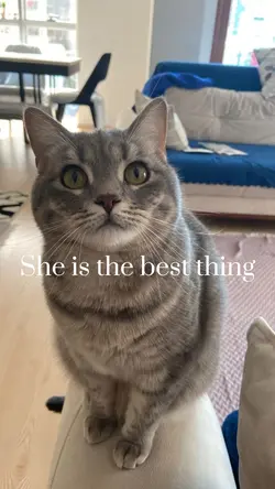 Mine