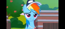 Rainbow Dash