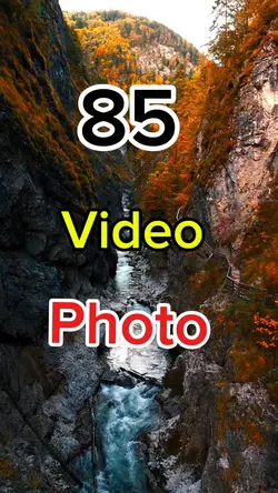New template 2025 