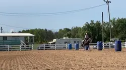Flying lead change??