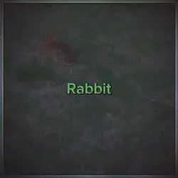 Animal Lives 2