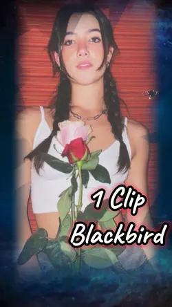 Blackbird  