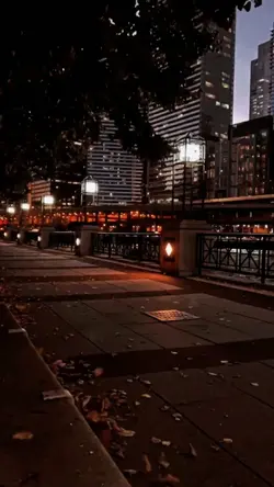 Meu espaço 