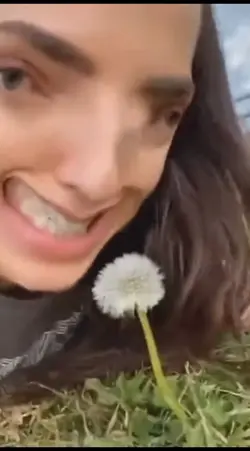 A dAnDeLiOn 