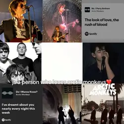 arctic monkeys