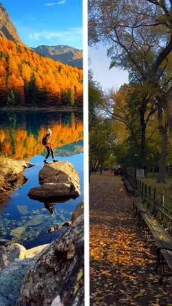 The Falling Leave