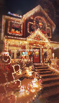 Christmas lights ✨
