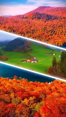 Split Screen 