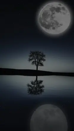 rises the moon