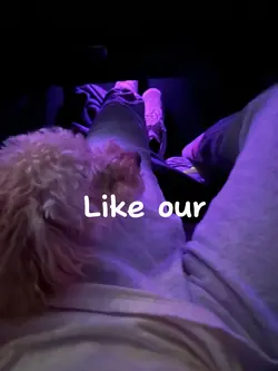 Dog love >>