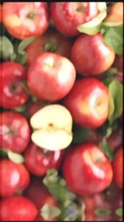 Apple edit