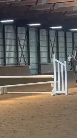 3ft jump!!