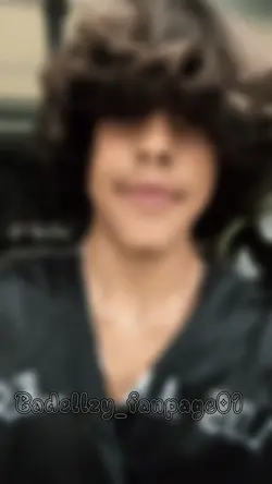 Ayden template 