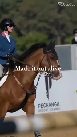 Equestrians ✨✨