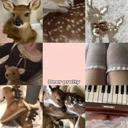 Deer pretty