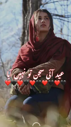 عید آئی سجن نہیں آیا