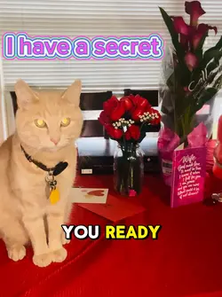 I have a secret 😻