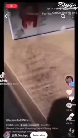 LLAMA 👹👹👹👹👹