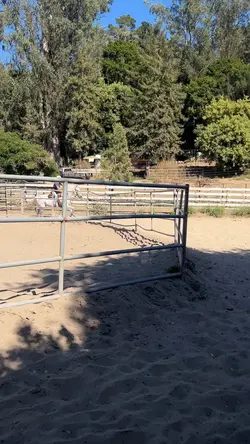 prepping for rodeo