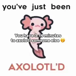 AXOLOTL’D