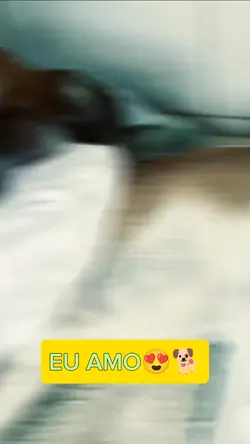 Amo cachorro 