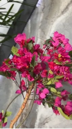 Flor