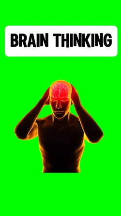 BRAIN THINKIN